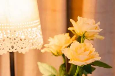 a vase of yellow roses in front of a lamp at Orkla Gjestebolig in Løkken