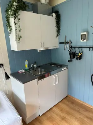 a small kitchen with a sink and blue walls at Damehuset in Sæbø
