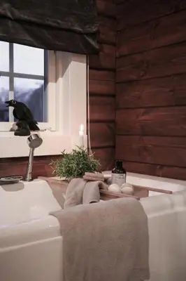 a bathroom with a sink and a black bird sitting on a window at Tømmerhus i Geiranger Sentrum med panorama utsikt in Geiranger