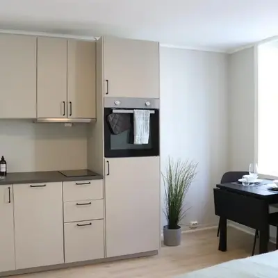 One-bedroom apartment close to NTNU and St Olavs