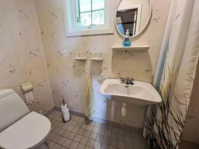 a bathroom with a sink and a toilet and a mirror at Holiday Home Askelund by Interhome in Uggdal