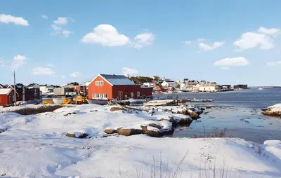 a group of animals in the snow next to a body of water at 3 Bedroom Amazing Home In Sula in Sula