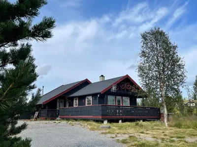 a house with a black roof and a tree at Trollbu by Norgesbooking - cabin at Golsfjellet in Sanderstølen