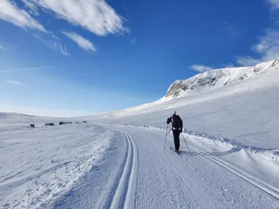 a man is cross country skiing down a snow covered slope at Modern cabin in Vestlia - EV Type 2 - Sauna - WiFi - Games in Geilo