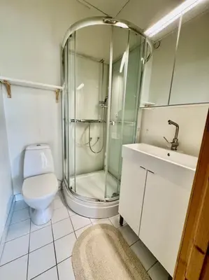 a bathroom with a shower and a toilet and a sink at Leilighet i herskapelig villa in Trondheim