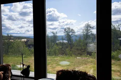 a cat sitting on a window sill looking out at a field at Spacious, exclusive and modern cabin in Geilo in Geilo