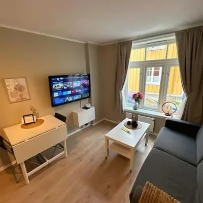Koselig studioleilighet i sentrum