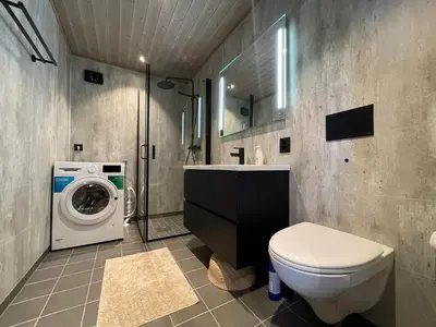 a bathroom with a toilet and a washing machine at Bjørkebo in Ål - cabin in hiking and skiing area in Ål