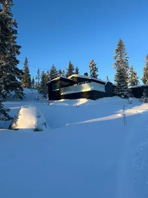 a modern house in the snow with trees at Sjusjøstua by Norgesbooking - cabin close to cross country trails in Ringsaker