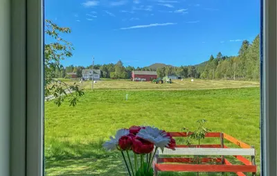 a window with a vase of flowers and a field at 3 Bedroom Stunning Home In Fiksdal in Fiksdal