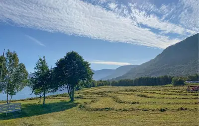 a tree and a bench in a field with mountains at 3 Bedroom Stunning Home In Fiksdal in Fiksdal