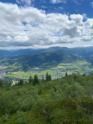 a view of a valley with mountains and trees at Oppgradert leilighet i Tråstølen in Skulestadmo