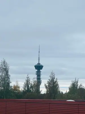 a television tower in the distance with trees in the foreground at Trondheim- free parking in Høiset