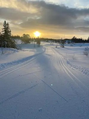 a road covered in snow with the sun in the background at Stor enebolig i Trondheim in Trondheim