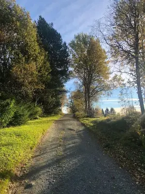 a dirt road with trees on either side of it at Stor enebolig i Trondheim in Trondheim