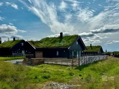 a house with a grass roof on top of it at High standard cabin at Sjusjøen sauna, hot tub & ski trails right outside in Ringsaker