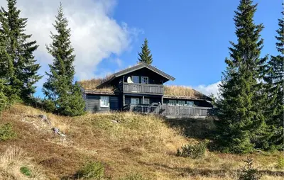 a house with a grass roof on top of a hill at Stunning Home In Sjusjøen With Sauna in Sjusjøen
