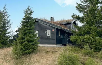 a small black house in the middle of trees at Stunning Home In Sjusjøen With Sauna in Sjusjøen