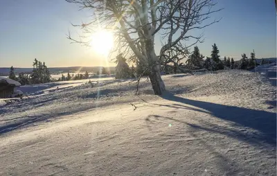 a tree on a snowy hill with the sun in the background at Cozy Home In Sjusjøen With Sauna in Sjusjøen
