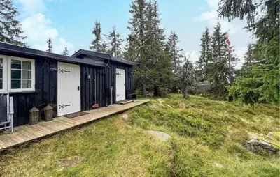 a black and white tiny house in the woods at Cozy Home In Sjusjøen With Sauna in Sjusjøen