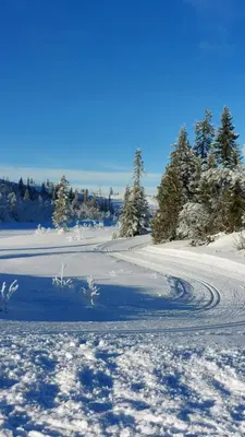a road covered in snow with trees in the background at Naturopplevelser året rundt i Valdres Ski in out Panoramautsikt in Aurdal