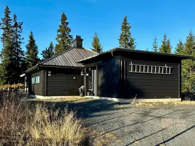 a garage with a dog standing outside of it at Cabin at Sjusjøen Birkebeiner trail ski in out, 8 beds, 2 bathrooms & Wifi in Sjusjøen