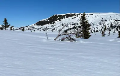 a snow covered field with trees and a mountain at 4 Bedroom Gorgeous Home In Bagn in Bagn