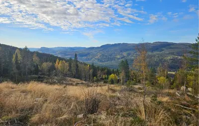 a view of a field with trees and mountains at 3 Bedroom Amazing Home In Eggedal in Eggedal