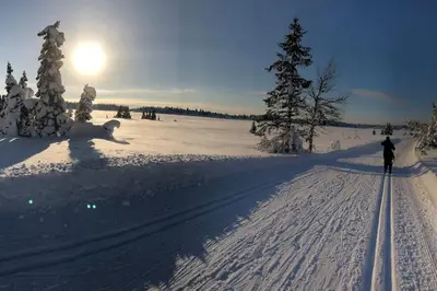 a person cross country skiing in the snow at Leilighet sentralt på Sjusjøen, 11 sengeplasser in Ringsaker