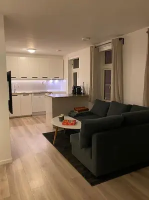 a living room with a couch and a table and a kitchen at 2 Bedroom Apartment Located Downtown Trondheim in Trondheim