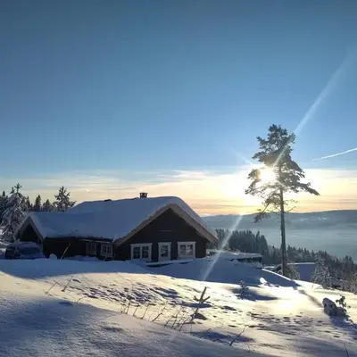 Coazy cabin with sauna