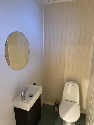 a bathroom with a toilet and a sink and a mirror at Hus i Syvde in Sylte