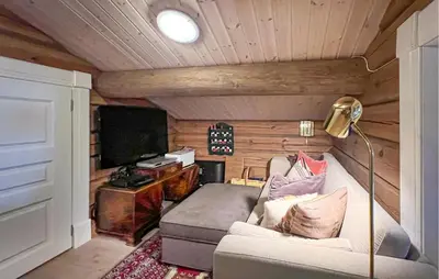 a living room with a couch and a flat screen tv at Awesome Home In Sjusjøen With Sauna in Sjusjøen