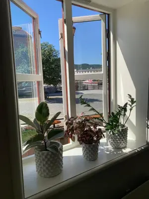 three potted plants sitting on a window sill at Brygga B&B Trondheim sentrum, privat rom i vårt hjem in Trondheim