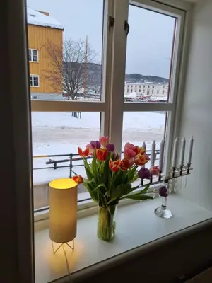 a vase of flowers sitting on a window sill at Brygga B&B Trondheim sentrum, privat rom i vårt hjem in Trondheim