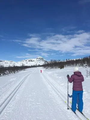 a person standing on skis in the snow at Charming Family Cabin With Stunning Mountain Views in Beitostøl