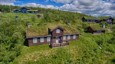 an overhead view of a house with a grass roof at Charming Family Cabin With Stunning Mountain Views in Beitostøl