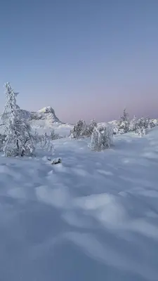 a snow covered mountain with trees in the distance at Modern Retreat By Beitostølen Ski Stadium in Beitostøl