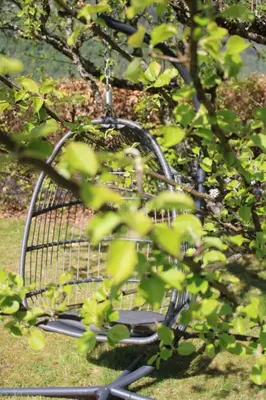 a shopping cart sitting in the grass next to a tree at Tørvis Hotell in Luster