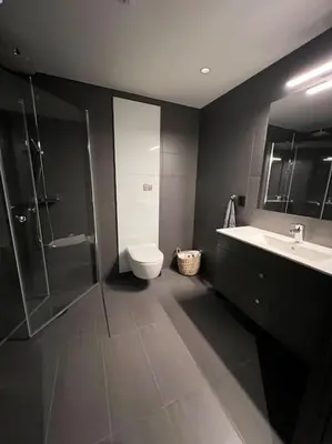 a bathroom with a toilet and a sink and a shower at Helt ny leilighet ski in- ski out i Hemsedal in Hemsedal