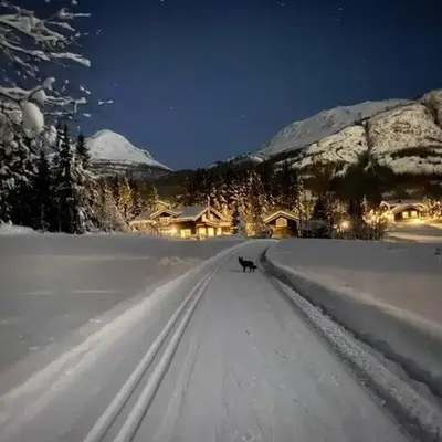 Hemsedal Mountain Retreat