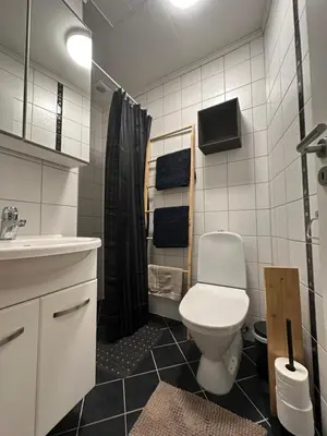 a bathroom with a toilet and a sink and a shower at Historical house with view and separate entrance in Ålesund