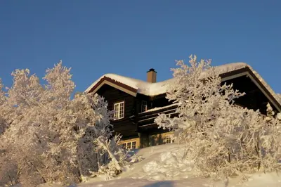 a house covered in snow with trees in the foreground at Large Cabin with Stunning Views! in Beitostøl