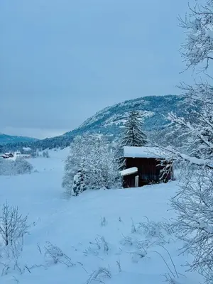 a cabin covered in snow in a snow covered field at Pen hytte nær Ål in Liagardane