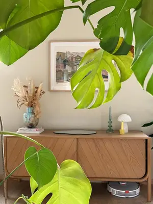 a wooden cabinet with a plant in front of it at Apartment in Bergen in Bergen