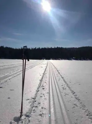 a pair of ski poles in a snow covered field at Hytta Kalven in Lunner