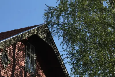 a building with a window next to a tree at Sjarmerende hus i sentrum in Elverum
