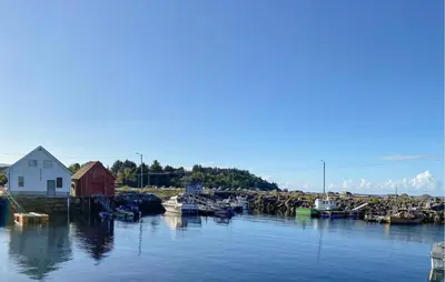 a group of boats are docked in a harbor at Beautiful Home In Fjørtoft With Wifi in Fjørtoft