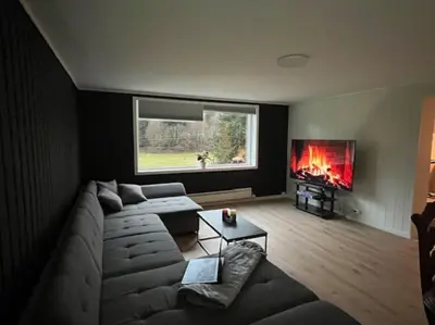a living room with a couch and a fireplace at Apartments near Bergen Airport in Bergen