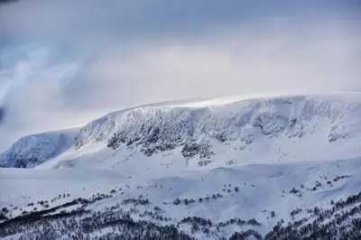 a mountain covered in snow with trees on it at Cozy apartment near ski attractions in Geilo